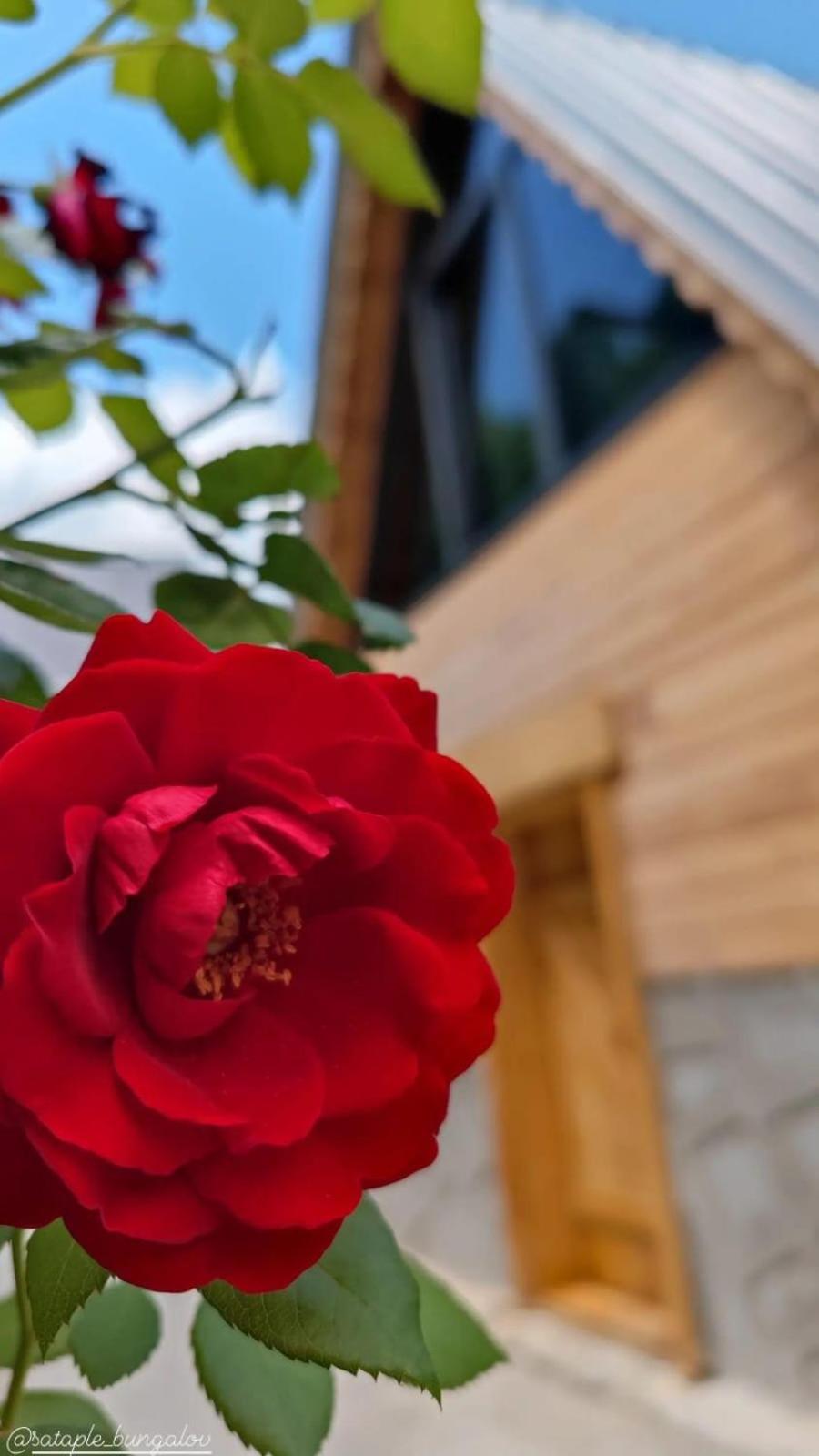 Sataplebungalov Çamlıhemşin 외부 사진